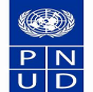 PNUD